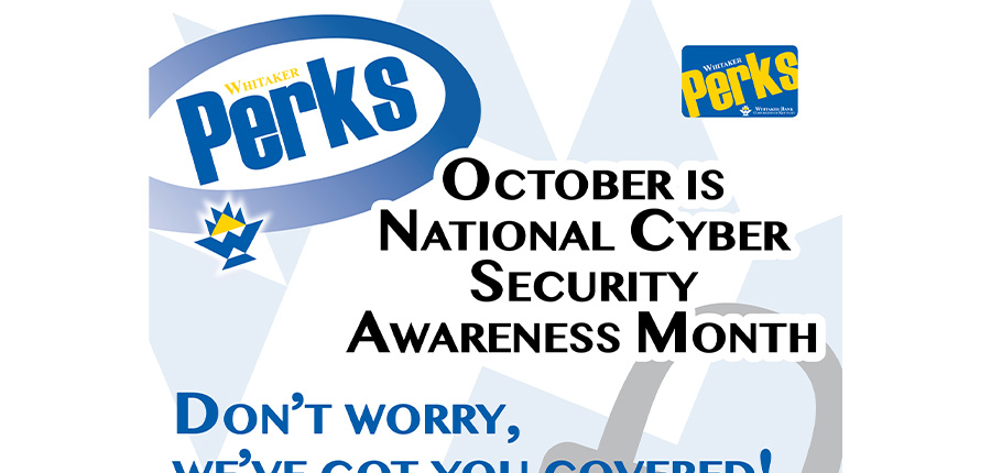 FRAUD is EVERYWHERE. A massive data breach at National Public Data, a background check company, has potentially compromised the personal information of millions.